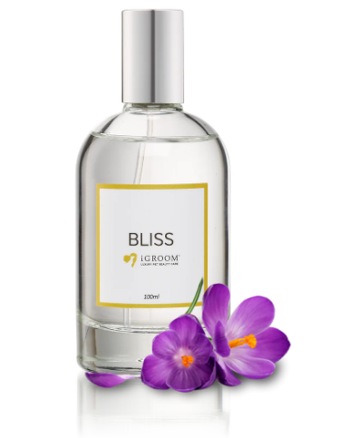 Парфюм BLISS iGROOM