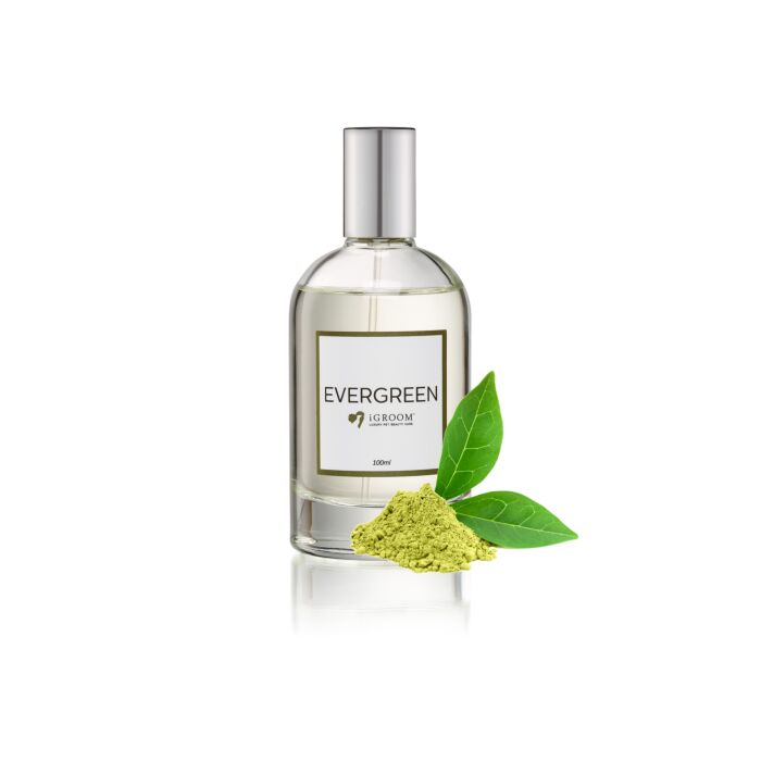 Парфюм Evergreen iGROOM