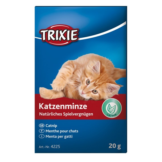 Катнип 20гр.