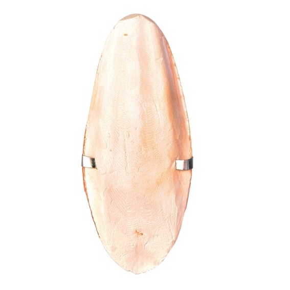 Сепия
