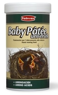BABY PATEE 