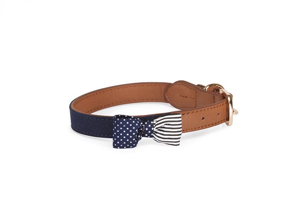 Нашийниk American Flag